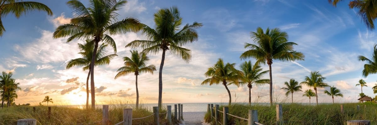Flights to West Palm Beach {price_modifier}starting at **Flights.FromLowestPrice**