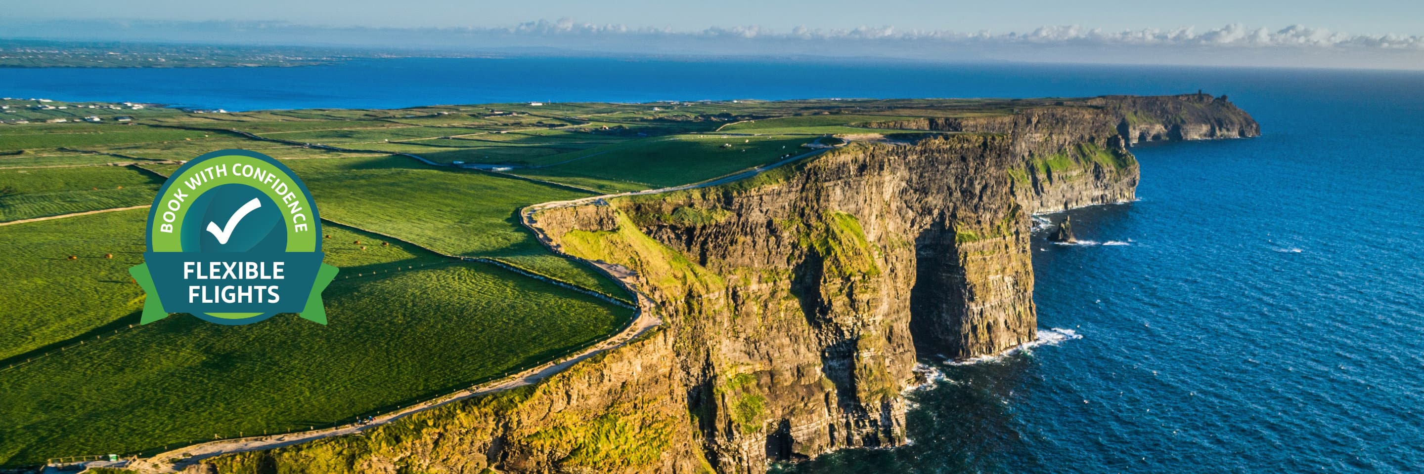 The Aer Lingus Ireland Sale