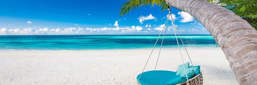 Swinging chair hanging from a palm tree on a beach in Barbados