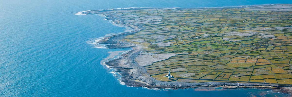 Aer Lingus Plane Image