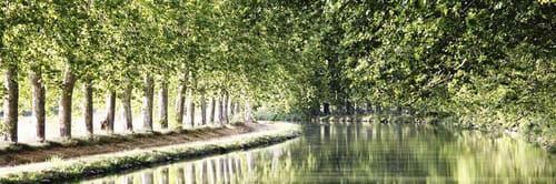 A serene stretch of the Canal du Midi in Southern France.
