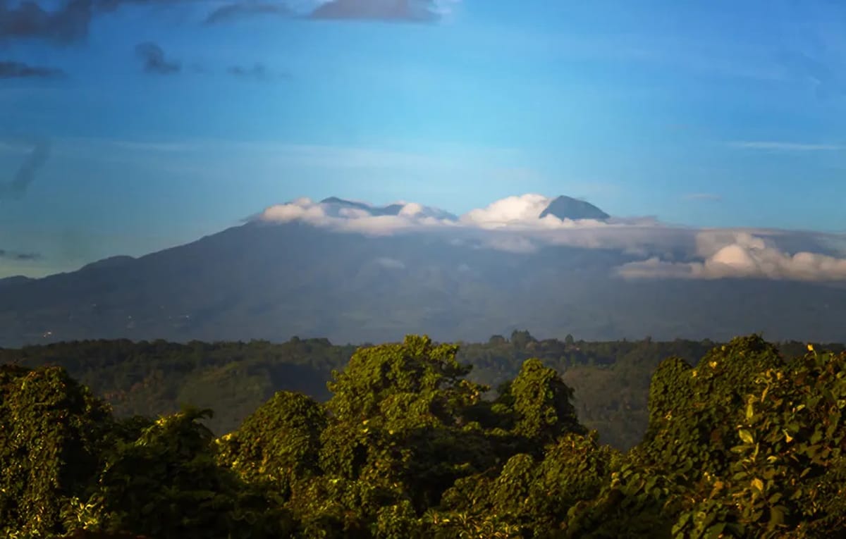 Recherchez de bonnes affaires sur les vols entre Arabie Saoudite et Davao (DVO)