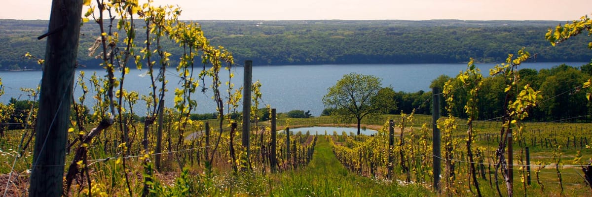 Cheap flights to Elmira, NY (ELM) with Allegiant Airlines