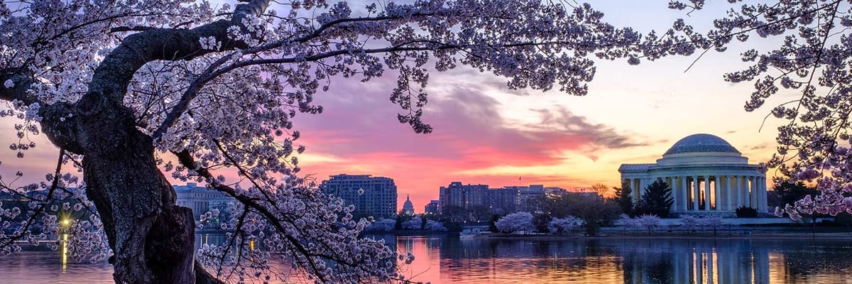 Cheap flights to Washington, D.C. (IAD) with Allegiant Airlines