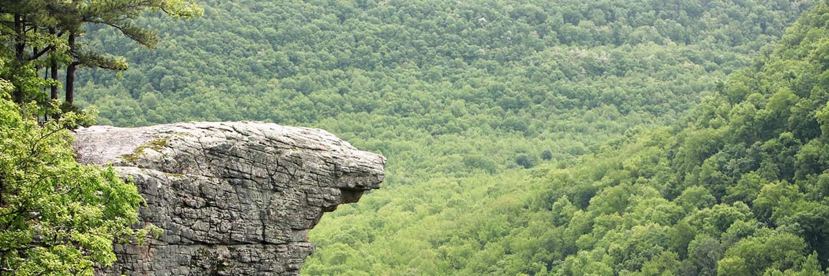 Cheap flights to Bentonville-Fayeteville, AR (XNA) with Allegiant Airlines