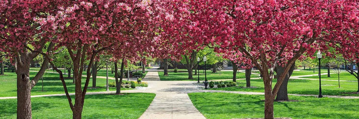 Cheap flights to Bloomington, IL (BMI) with Allegiant Airlines