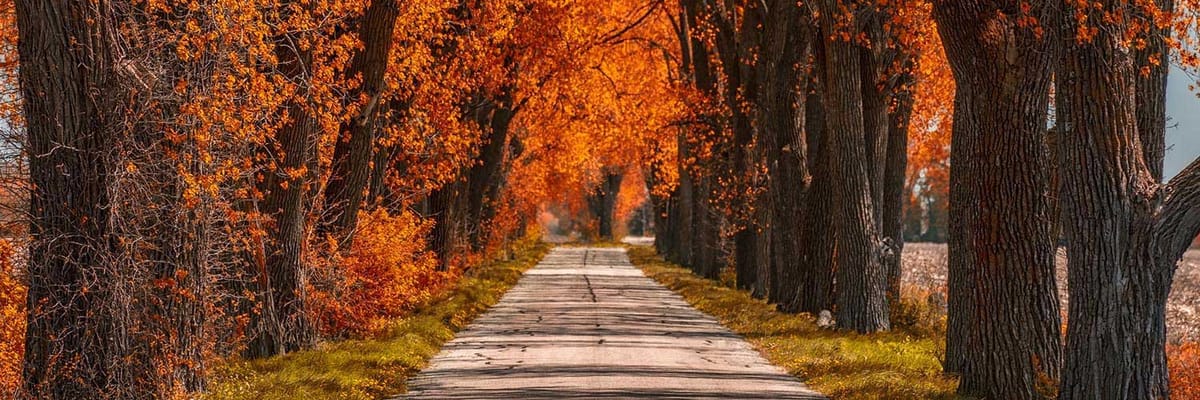 Cheap flights to Evansville, IN (EVV) with Allegiant Airlines