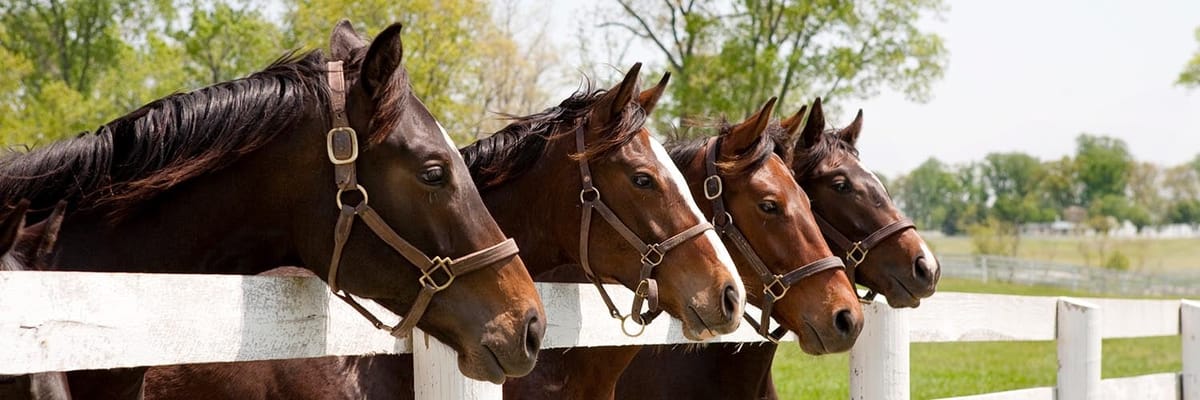 Cheap flights to Louisville, KY (SDF) with Allegiant Airlines