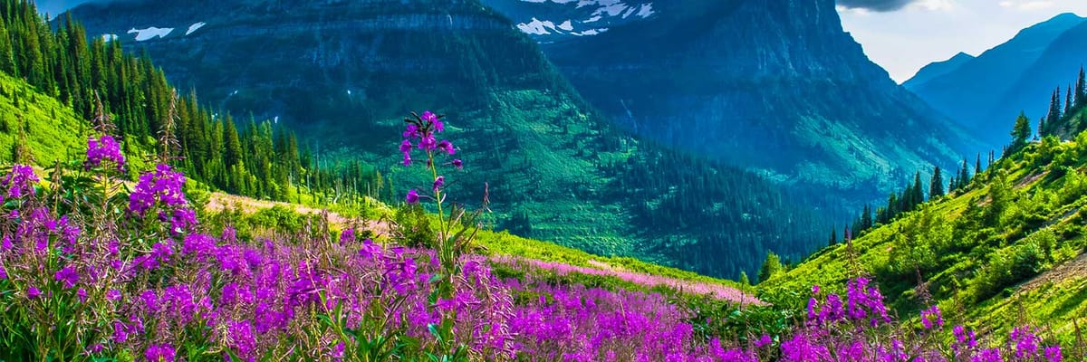 Cheap flights to Missoula, MT (MSO) with Allegiant Airlines