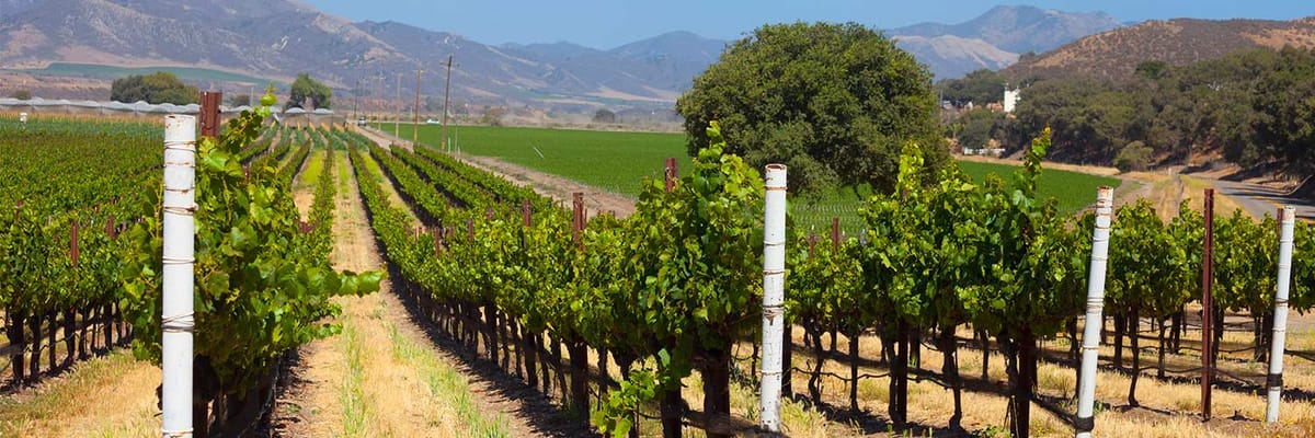 Cheap flights to Santa Maria, CA (SMX) with Allegiant Airlines