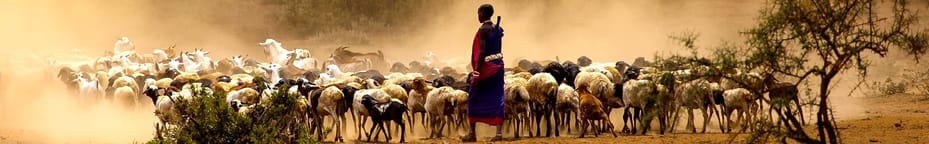 Nairobi