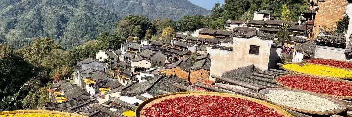 Flights from Fuyang to Guiyang on Tianjin Airlines