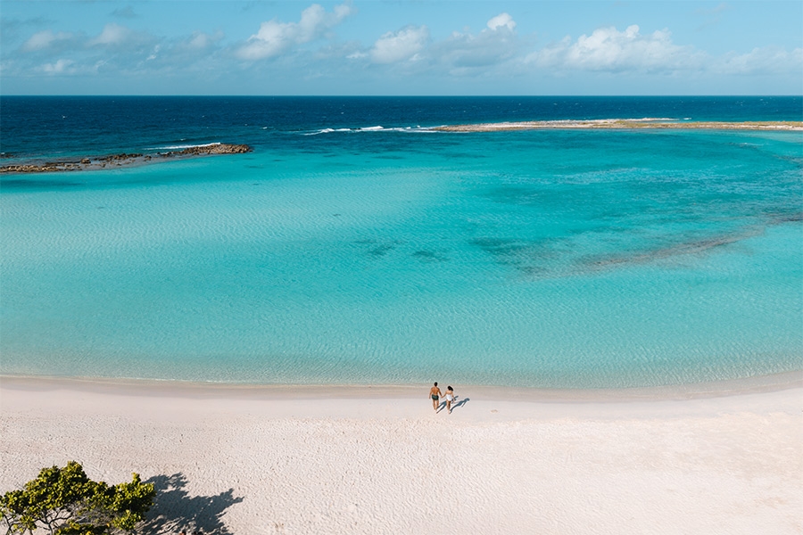 Celebre Sin Límites