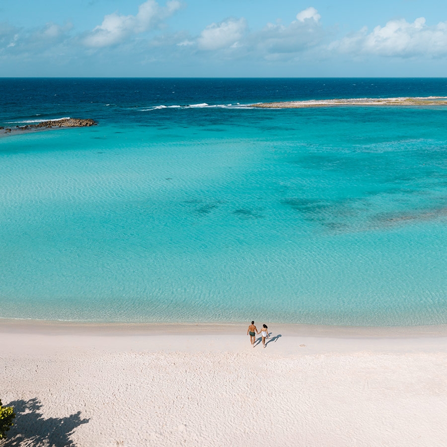 Celebre Sin Límites