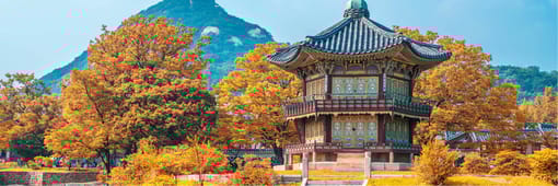 Flights from Seoul