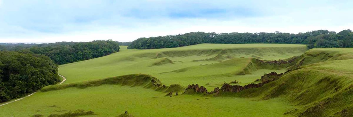 Book flights from Gabon with Air Cote d'Ivoire