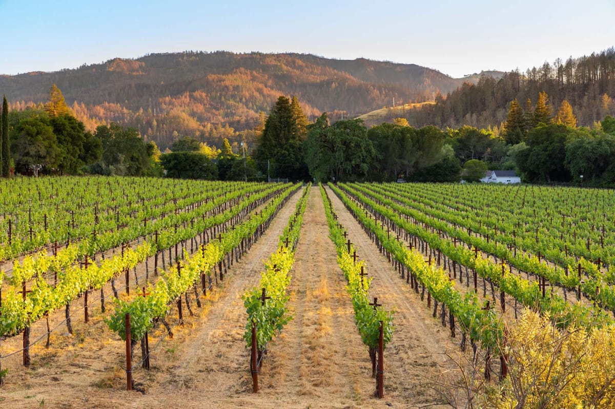 Explore nuestras tarifas en Fresno