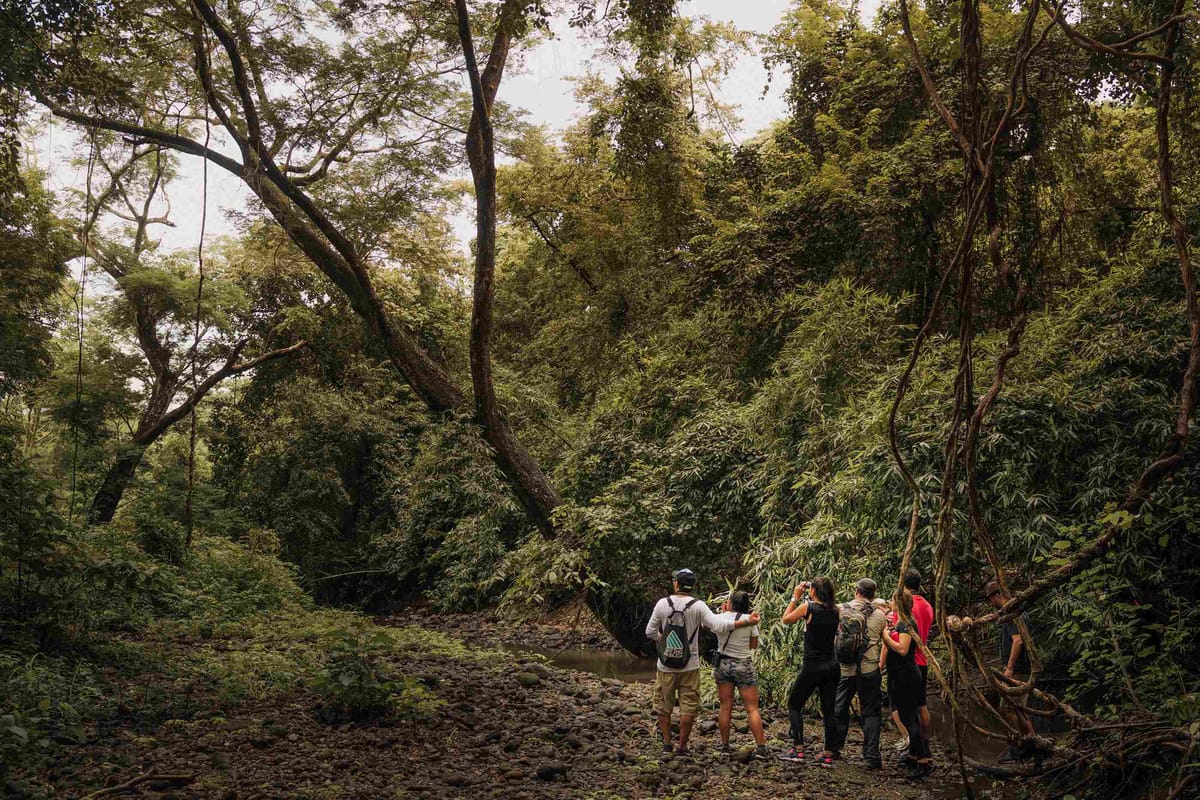 Explore nuestras tarifas en Papagayo, Costa Rica