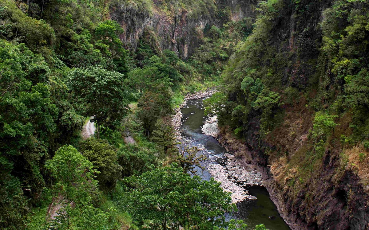Explore nuestras tarifas en San José, Costa Rica