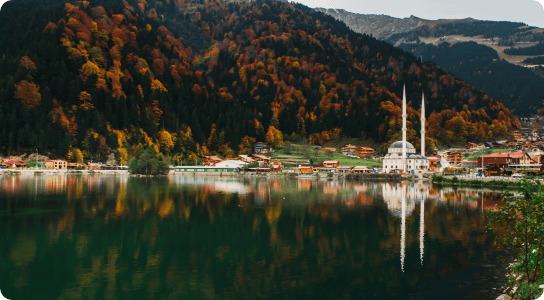 Book flights to Trabzon