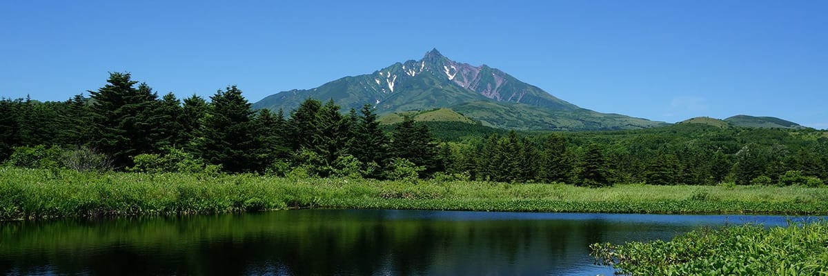 Japan Airlines利尻発のお得なフライト。{price_modifier}**Flights.FromLowestPrice**〜