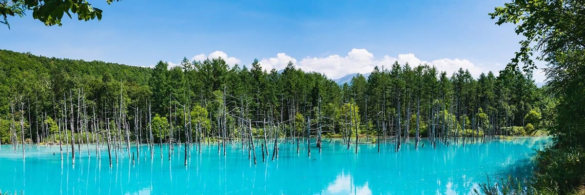 東京(羽田)発旭川行き。Japan Airlinesの航空券は{price_modifier} **Flights.FromLowestPrice**〜