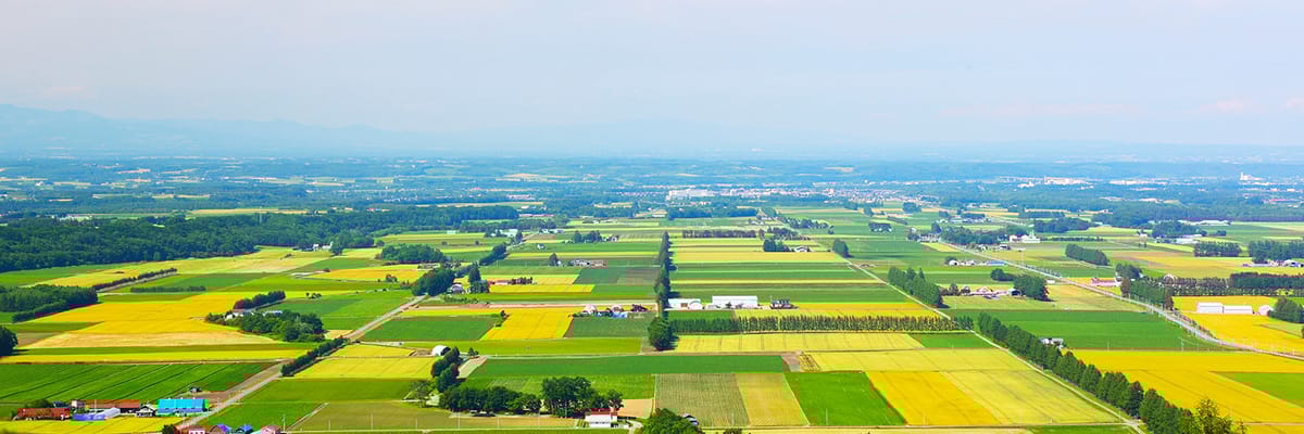 東京(羽田)発帯広行き。Japan Airlinesの航空券は{price_modifier} **Flights.FromLowestPrice**〜