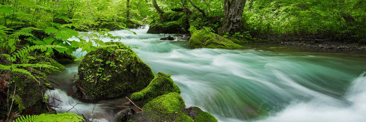 沖縄(那覇)発三沢行き。Japan Airlinesの航空券は{price_modifier} **Flights.FromLowestPrice**〜