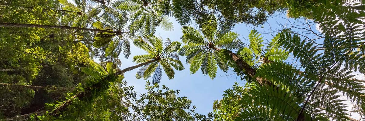 札幌(丘珠)発奄美大島行き。Japan Airlinesの航空券は{price_modifier} **Flights.FromLowestPrice**〜