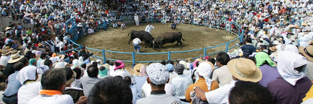 沖縄(那覇)発徳之島行き。Japan Airlinesの航空券は{price_modifier} **Flights.FromLowestPrice**〜