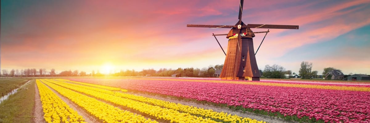 Дешевые рейсы Нидерланды с Air Astana