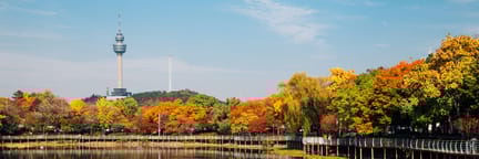 Flüge ab Washington nach Daegu