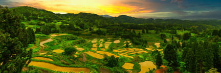 Flüge ab Seoul nach Niigata