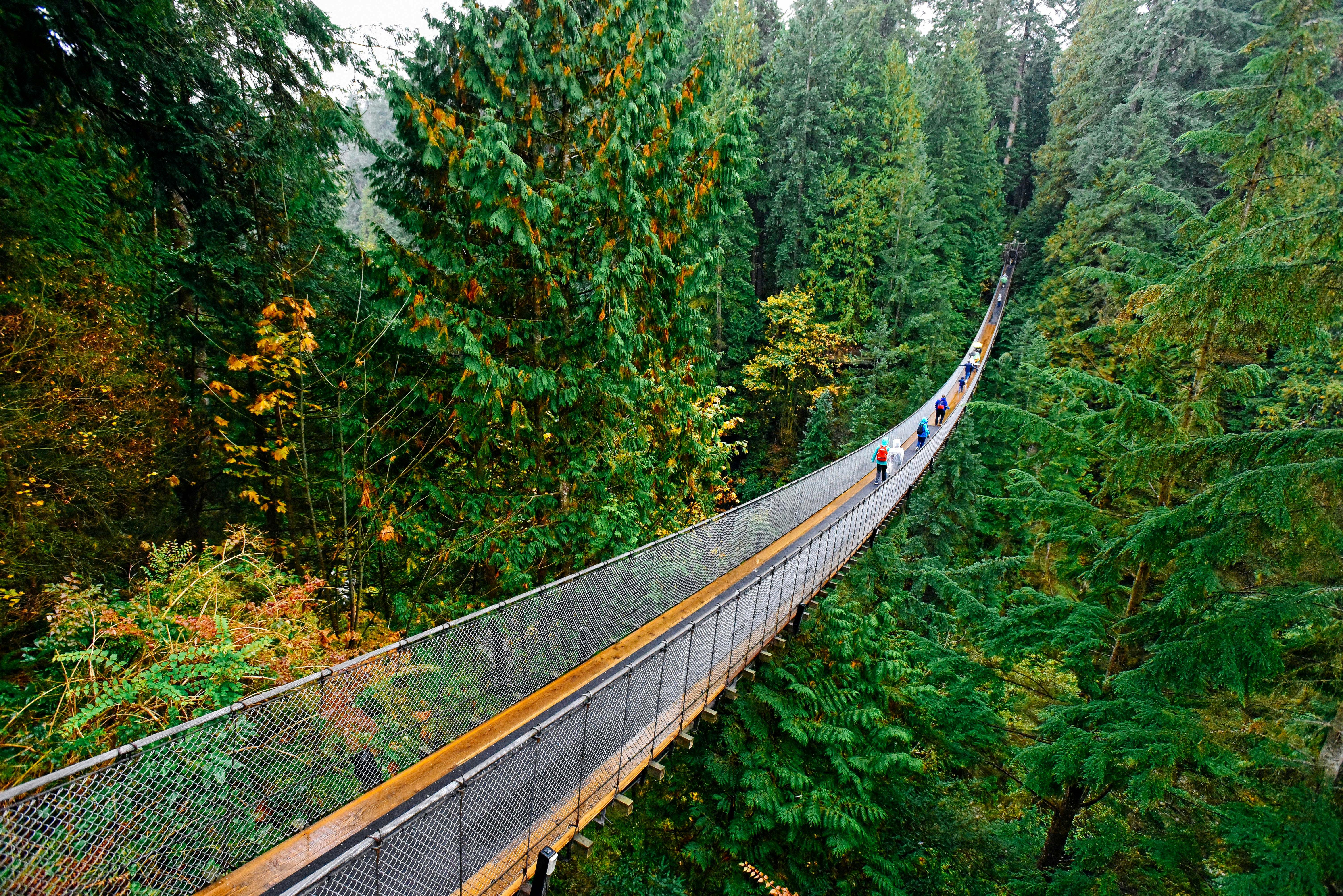 Capilano Suspension Bridge Park - Vancouver