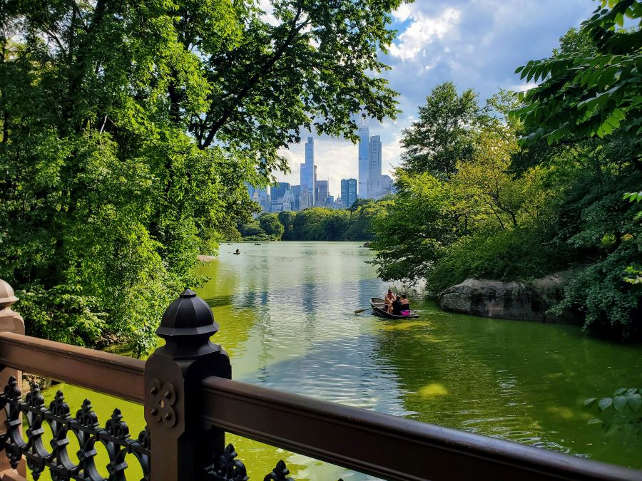 Central Park - Amsterdam naar New York