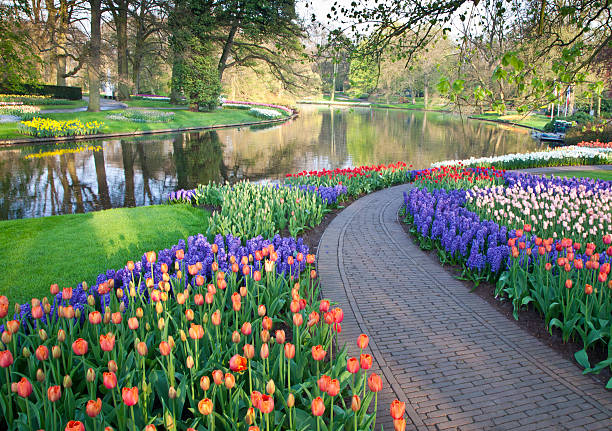 Keukenhof - Amsterdam