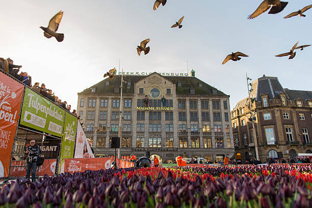 Madame Tussauds Amsterdam - Amsterdam