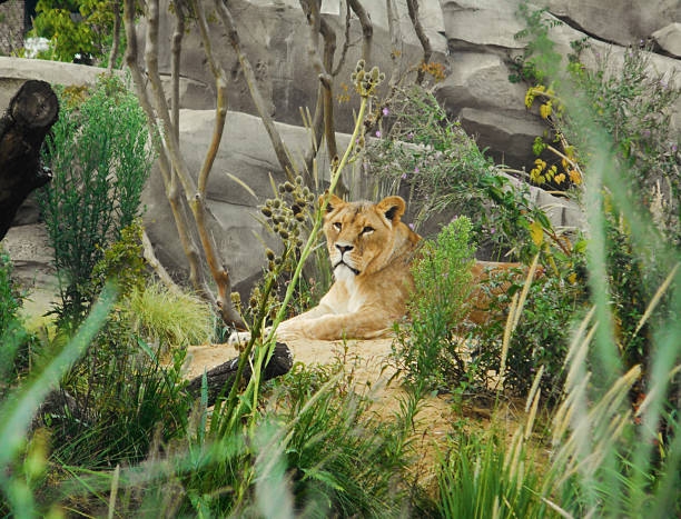 Artis Park Amsterdam