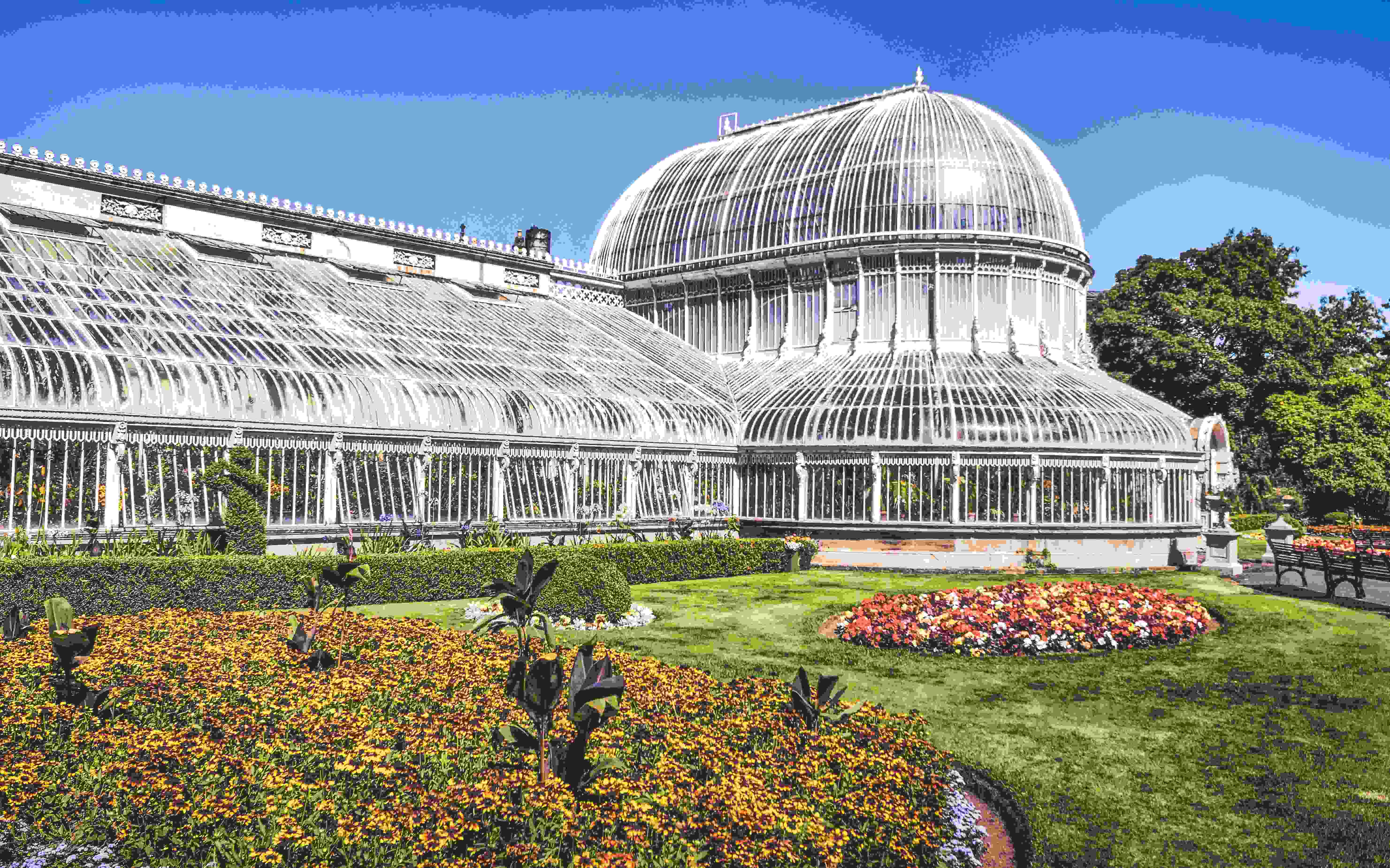 The Botanic Gardens - Belfast