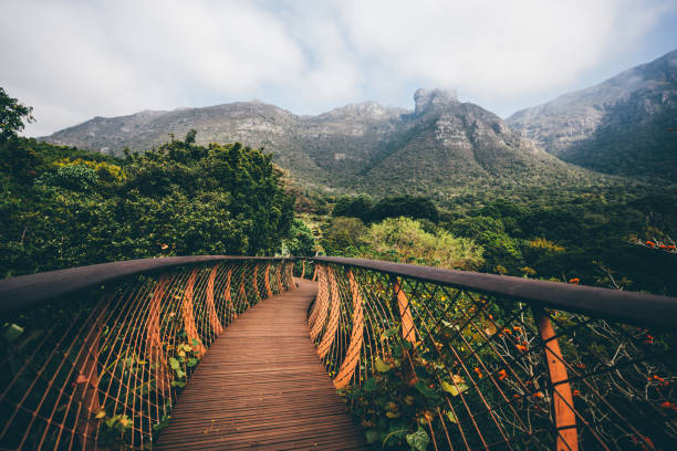 Kirstenbosch National Botanical Garden