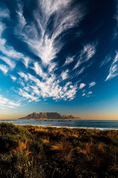  Table Mountain (Taffelberget)