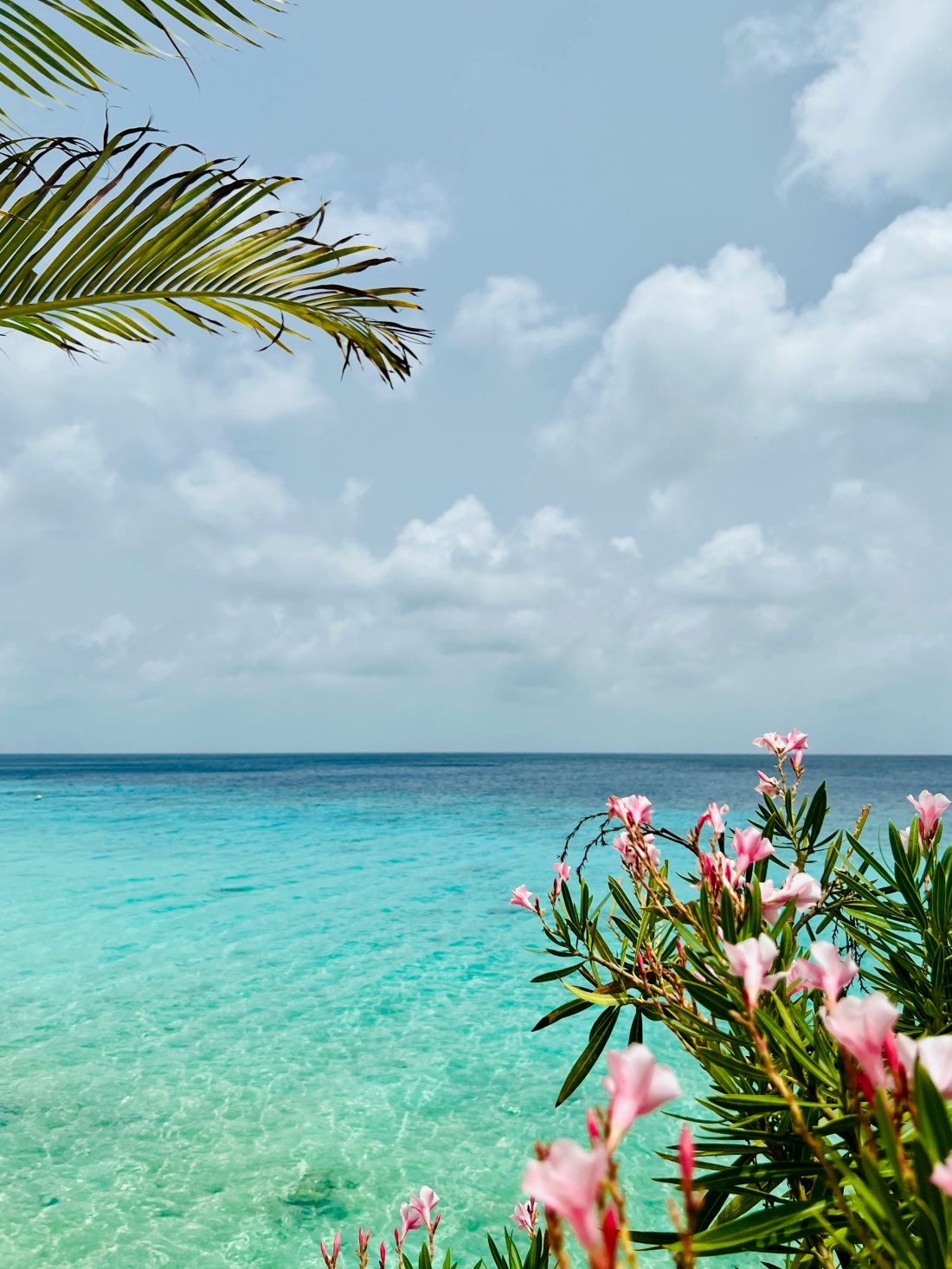 Bachelor’s Beach - Bonaire