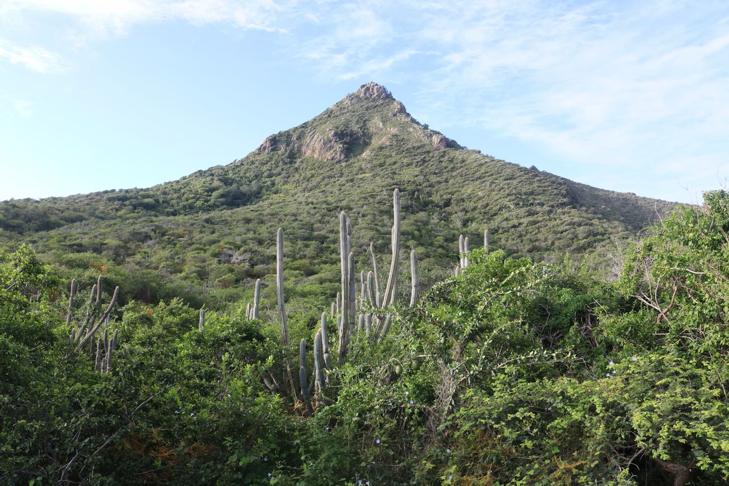 Christoffel National Park - Amsterdam naar Curacao