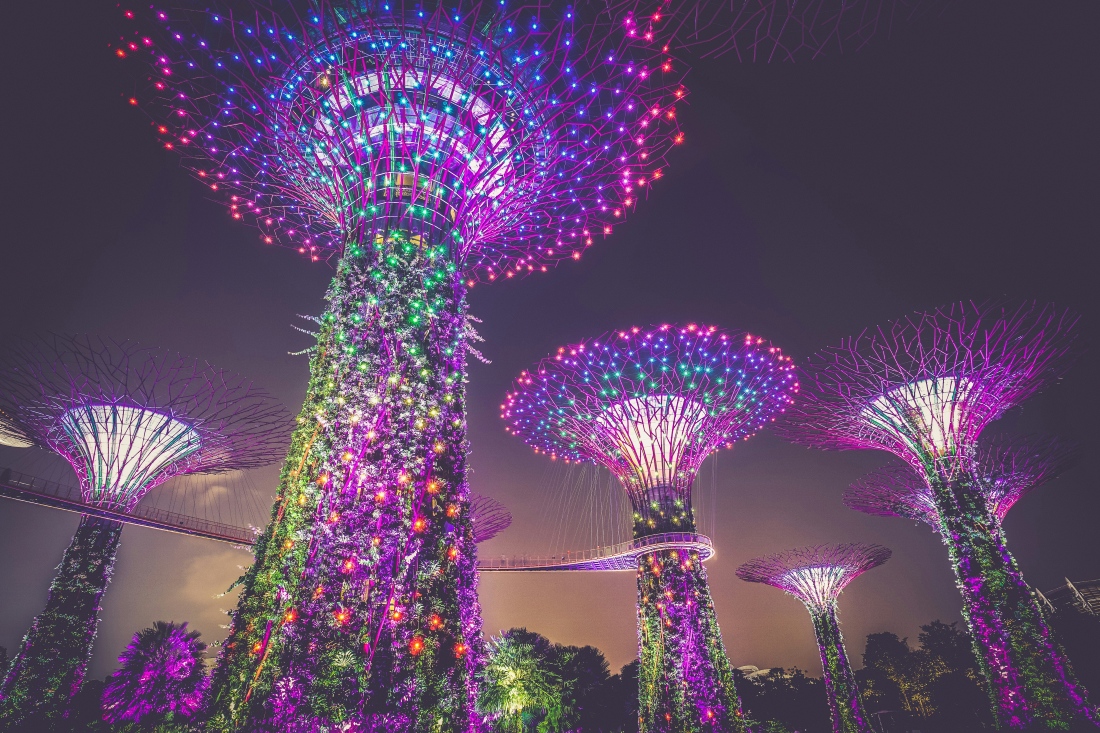 Gardens by the Bay - Amsterdam naar Singapore stad