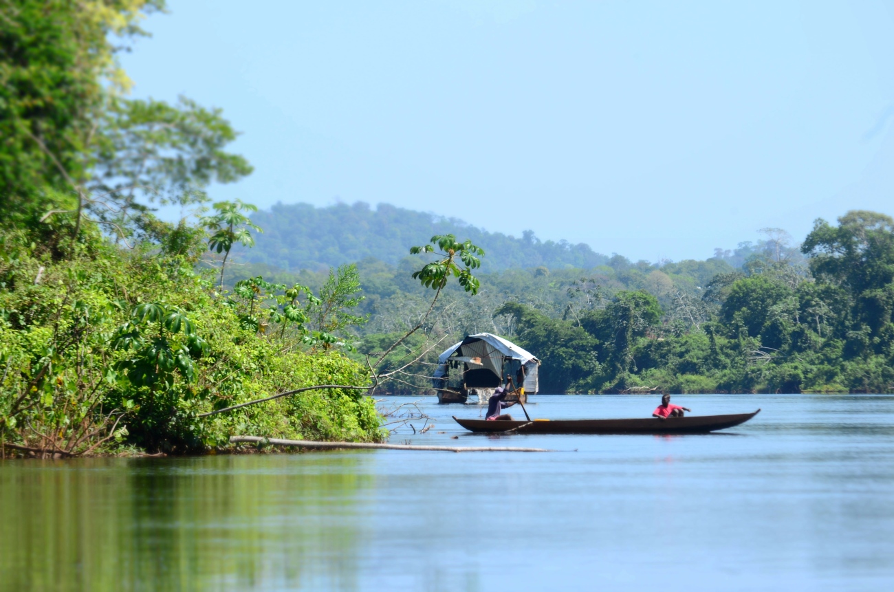 rivier Commewijne - Suriname