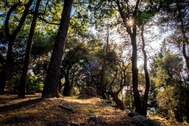 Forest Park Marjan​ Split