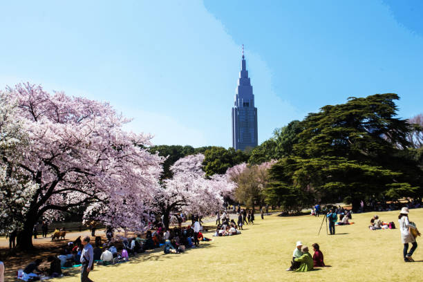 Shinjuku Gyoen nasjonalhage