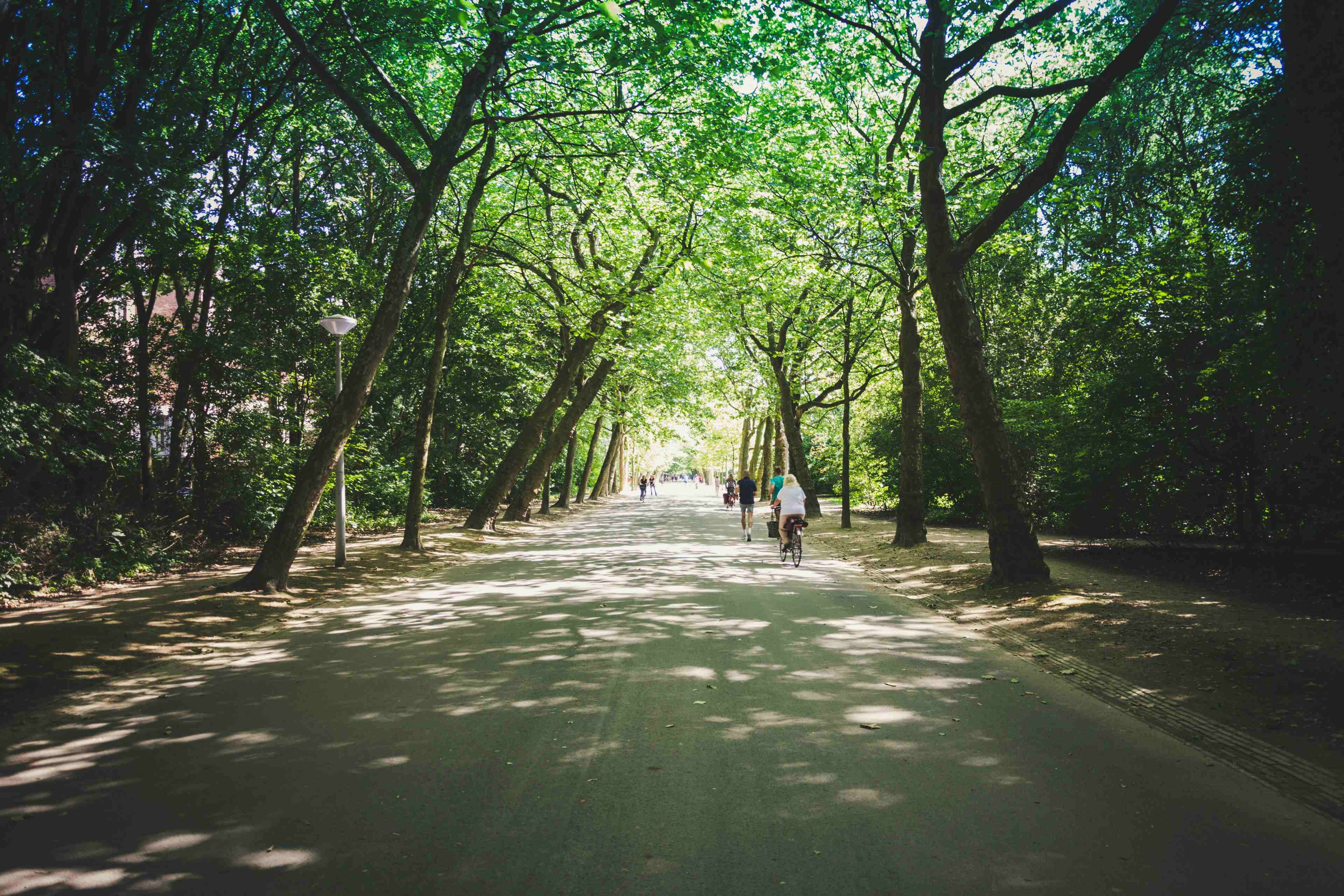 Vondelpark Amsterdam