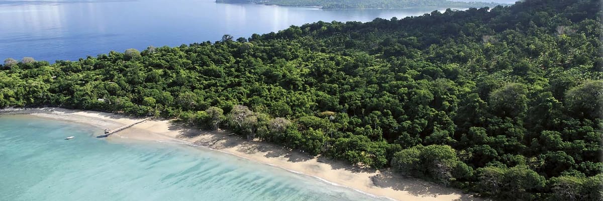 Recherchez des billets d'avion au meilleur prix sur Kenya Airways