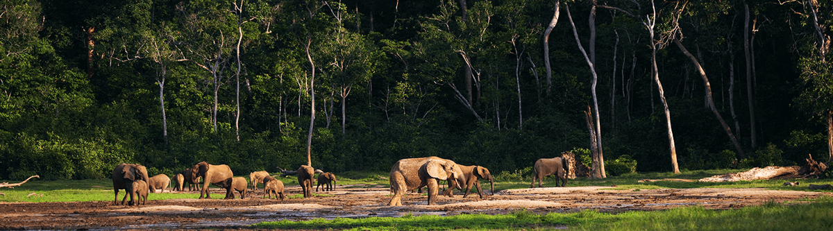 Les meilleures offres de vol Accra - Bangui ACC - BGF